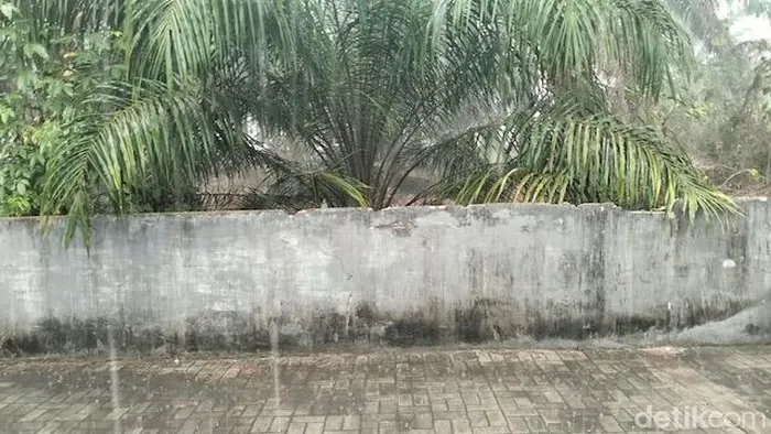 Hujan saat mengguyur Pangkalan Bun, Kalimantan Tengah