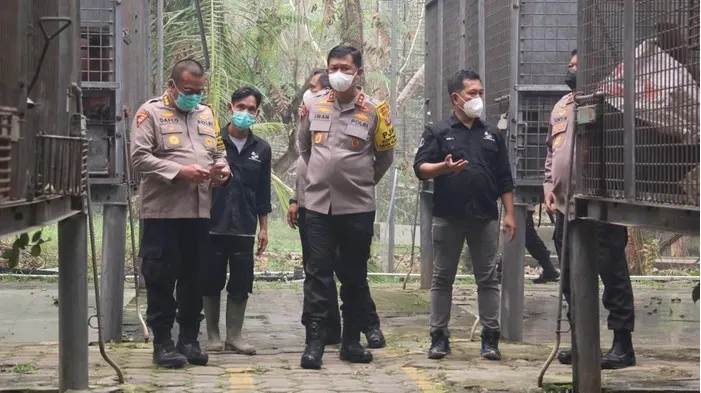 Kapolda Kalteng Irjen Iwan Kurniawan bersama Dirpolsatwa Korsabhara Baharkam Polri Brigjen Tory Kristianto mengunjungi pusat konservasi orang utan Nyaru Menteng Palangka Raya