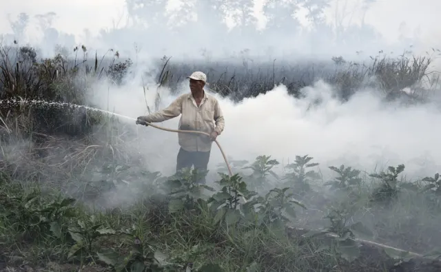 Aktivitas di Lahan Gambut Kayong Utara Disorot, Risiko Karhutla Mengintai