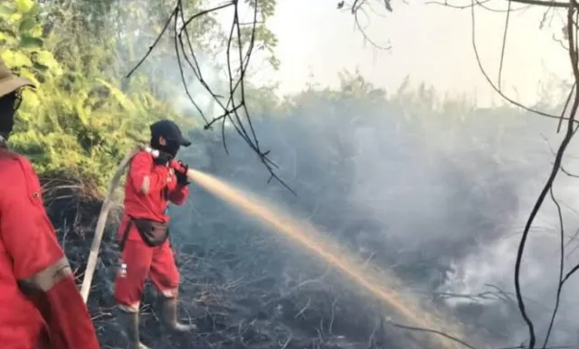 BPGMN Diminta Tak Kebal dari Kepentingan Proyek Strategis, WALHI Soroti Dampak Kumulatif